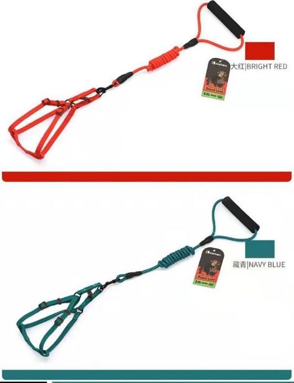 ANS 2000 Karışık Renk Fitil Gezdirmeli 1-7Kg Köpek Göğüs Tasması 0,6mm - Image 1