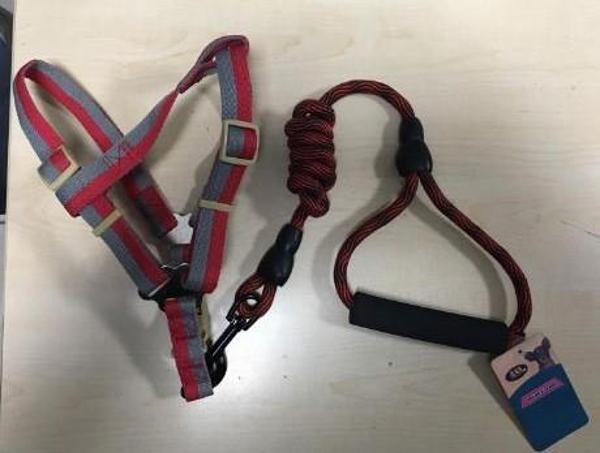 ANS Fosforlu Köpek Yumuşak Bel Tasması Takım Kırmızı Gri 15-25 Kg Köpeklere - Image 1