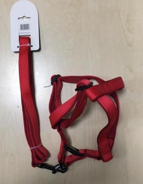 ANS Yumuşak Dokulu Bel Takım Tasması L Boy Düz Kırmızı İç Gri 20-35 Kg Köpeklere - Image 1