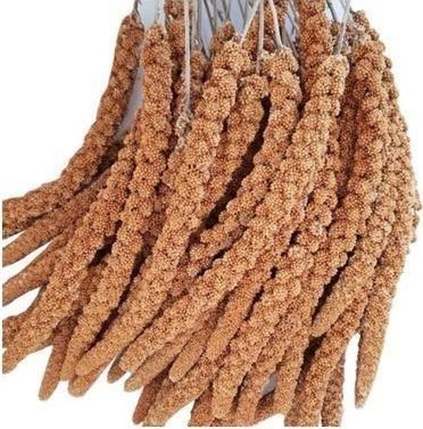 Kızıl Dal Darı 1 kg - Image 1