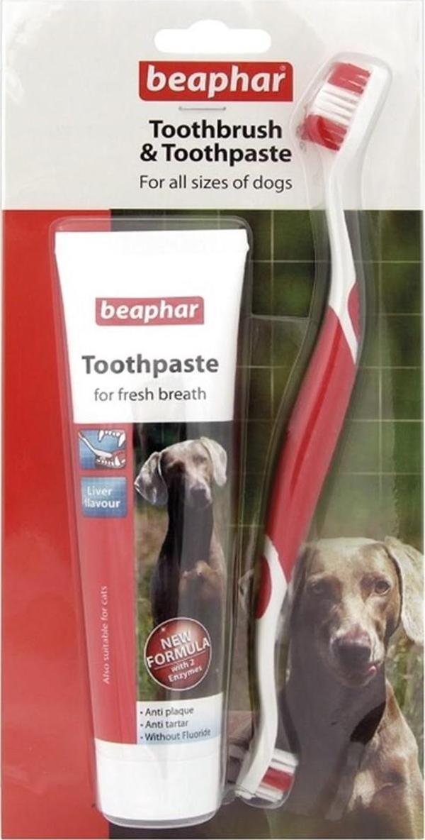 Beaphar Kedi Köpek Diş Fırçası ve Diş Macunu Seti - Image 1