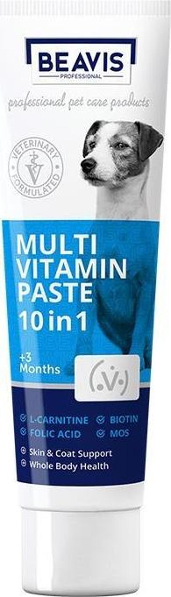 Beavis Dog Multi Vitamin Paste 10 in 1 100 ml - Image 1