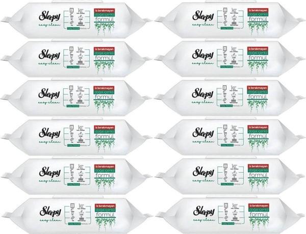 Sleepy Easy Clean Yüzey Temizlik Havlusu 100 Yaprak (12 Li Set) 1200 Yaprak - Image 1