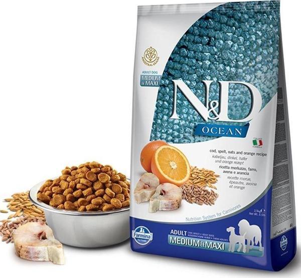 N&D Ocean Tahılsız Balkabaklı Morina Balıklı Mini Köpek Maması 2,5 Kg - Image 1