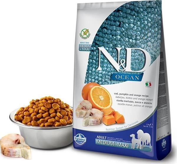 N&D Tahılsız Ocean Balkabaklı Morina Balıklı Medium Maxi Köpek Maması 2.5 Kg - Image 1