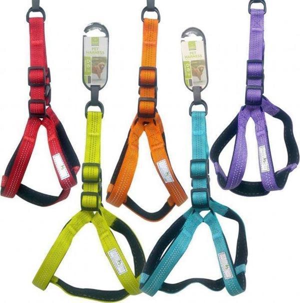 Nunbell Köpek Gögüs Tasması 1.5 cm - Image 1