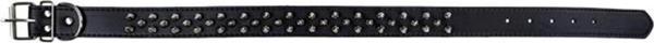 Sanlian SLS2080 Eğitim Boyun Tasması 4,0 cm x 70cm - Image 1