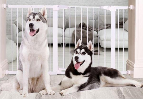 Ayvella Köpek Güvenlik Kapı Bariyeri - Image 1