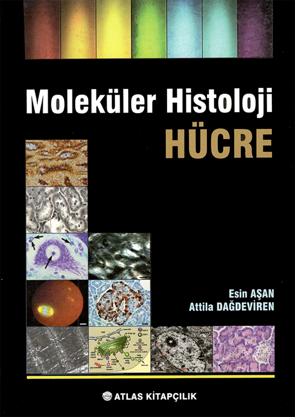 Moleküler Histoloji Hücre - Atlas Kitapçılık - Image 1