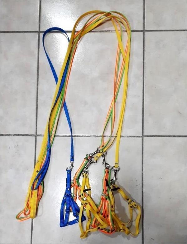 Coco Pet Köpek Ayarlanır Göğüs Tasma ve Gezdirme Kayışı Göğüs 30-45 cm - Image 1