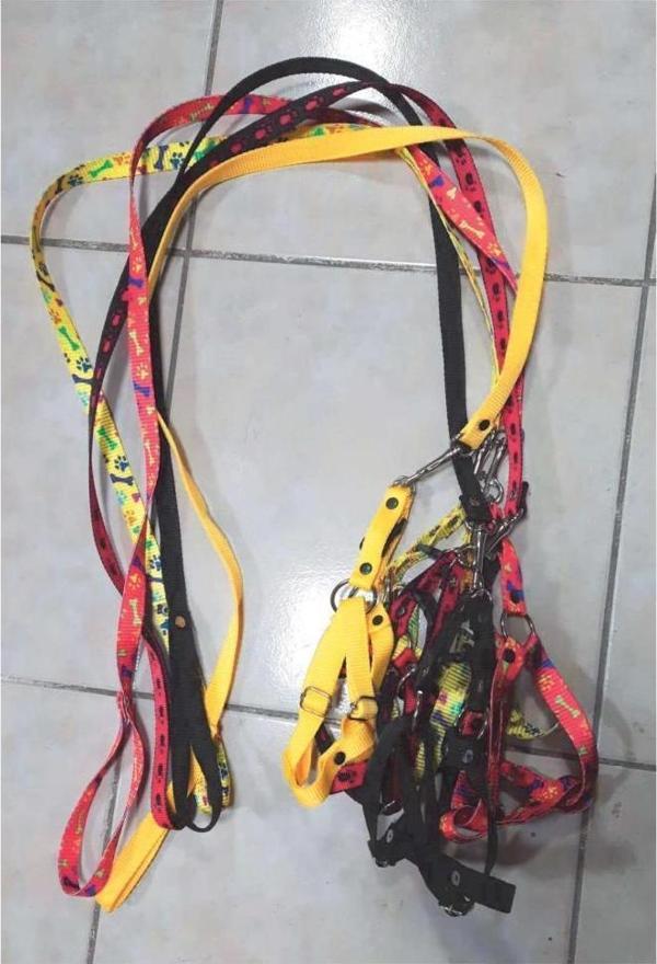Coco Pet Köpek Ayarlanır Göğüs Tasma ve Gezdirme Kayışı Göğüs 33-50 cm - Image 1