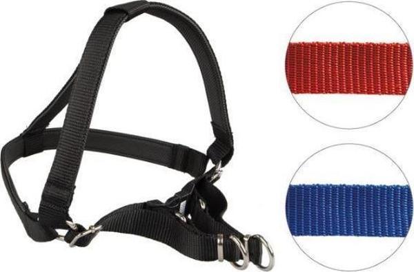 Oripet Tasma Yumuşak Dokulu Köpek Bel Tasması No:2 5-7Kg Köpeklere - Image 1