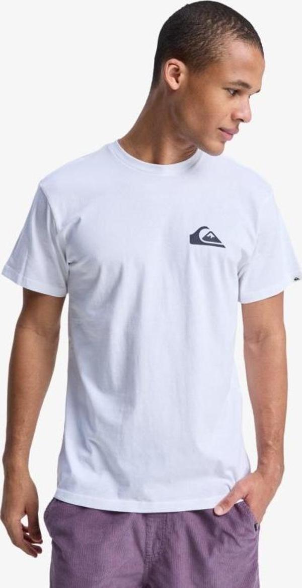 Quiksilver Eqyzt08042 Ev Mini Logo Ss Beyaz Erkek T-Shirt - Image 1