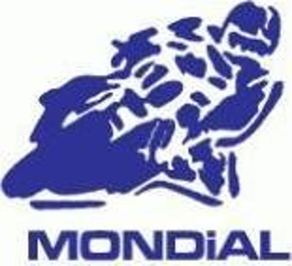 Mondial 125Kt Mc-X Arka Salıncak Mili Somunlu 14-295 Mm - Image 1