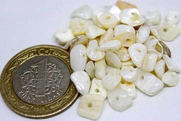 Delikli Sedef Taşı Beyaz Mini Boy 50 Adet - Image 1