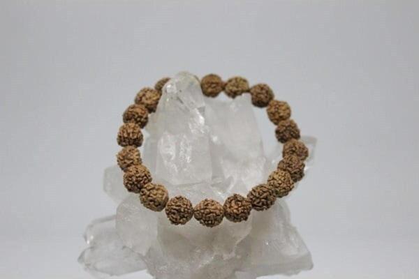 Rudraksha Tohum Bileklik 8mm - Image 1