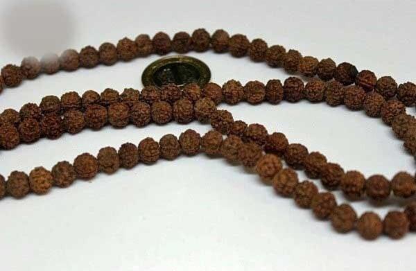 Rudrashka Tohum (mala Yapımı Için) 8mm/10 Adet Rudraksha - Image 1