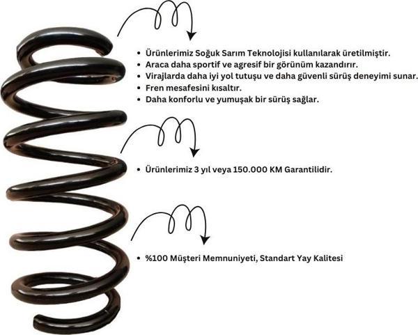 Standart Yay ST110106R Ford Mondeo Arka Helezon Yay Takımı - 2 Adet - Image 1