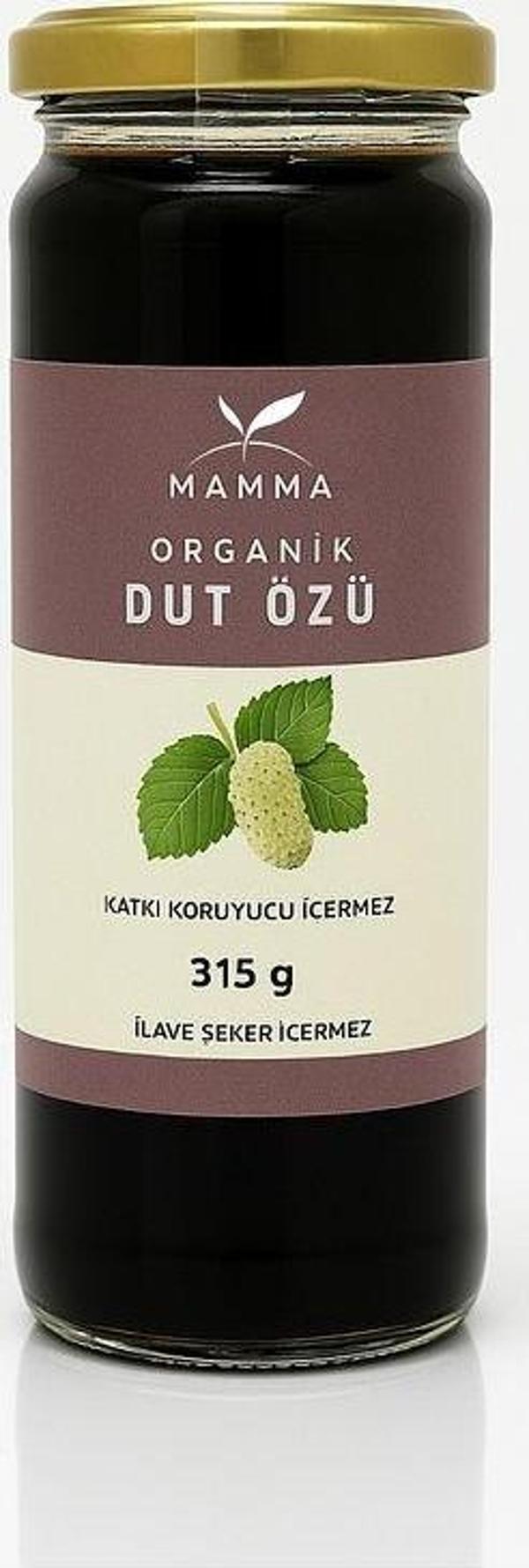 Organik Dut Özü 315 gr - Image 1