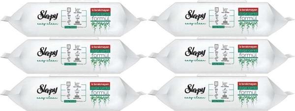 Sleepy Easy Clean Yüzey Temizlik Havlusu 100 Yaprak (6 Lı Set) 600 Yaprak - Image 1