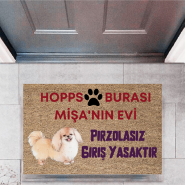 Kapı Önü Paspası Dekoratif Dijital Baskı Hopps  P-2474 - Image 1