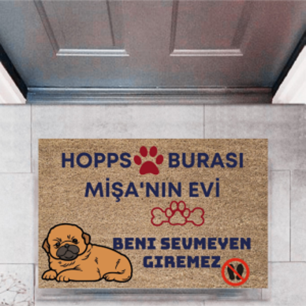 Kapı Önü Paspası Dekoratif Dijital Baskı Hopps  P-2475 - Image 1