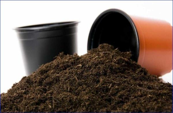 Doğa Garden 40 Litre Özel Karışımlı Bitki Toprağı - Torf - Image 1