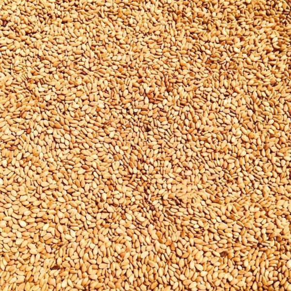 Dökme Baharat Kavrulmuş Susam - 100 gr - Image 1