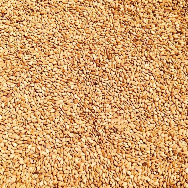 Dökme Baharat Kavrulmuş Susam - 250 gr - Image 1