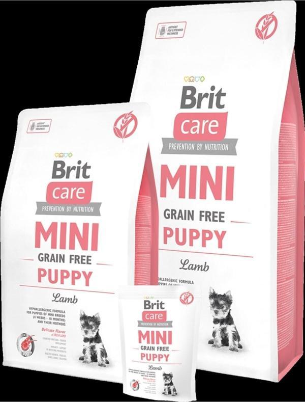 Brit Care Tahılsız Kuzu Etli Mini Irk Yavru Köpek Maması 2 Kg - Image 1