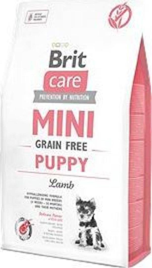 Brit Care Tahılsız Kuzu Etli Mini Irk Yavru Köpek Maması 2 Kg - Image 1
