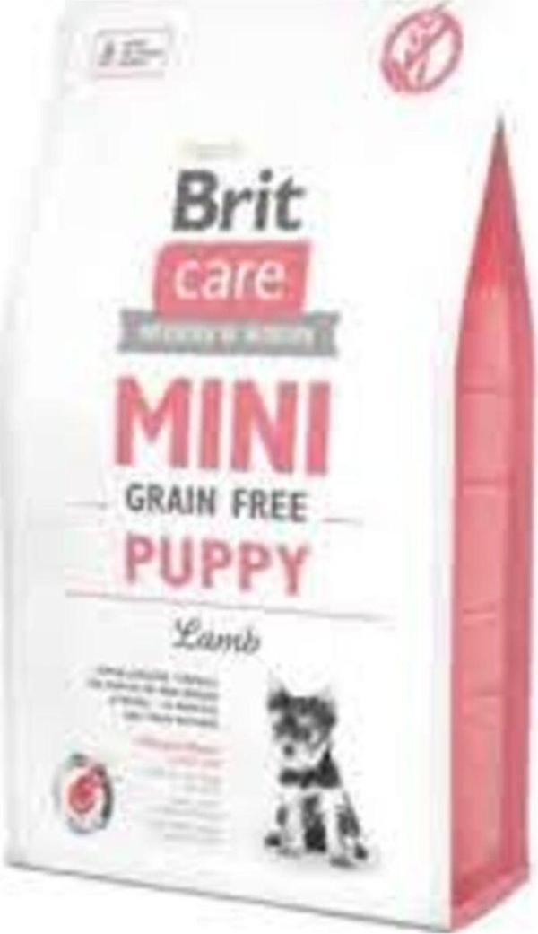 Brit Care Tahılsız Kuzu Etli Mini Irk Yavru Köpek Maması 2 Kg - Image 1