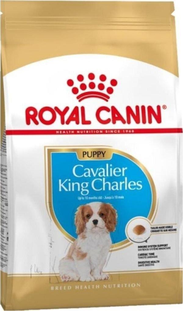Royal Canin Cavalier King Charles Junior Yavru Köpek Maması 1,5 kg - Image 1
