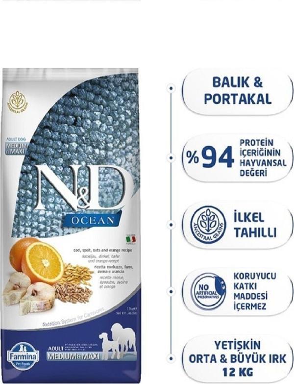 N&D Düşük Tahıllı Ocean Morina Balıklı Portakallı Yetişkin Köpek Maması 12 kg - Image 1