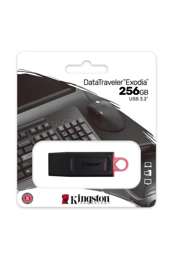 Kingston USB BELLEK 256GB - Image 1