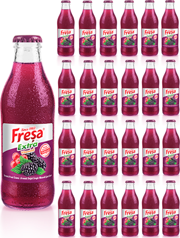 Freşa Extra Karadut Frenk Üzümü Mineralli Gazlı İçecek 200 ml x 24 Adet - Image 1