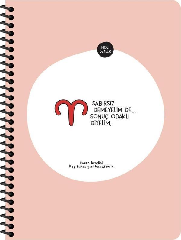 Hisli Şeyler Burçlar Serisi 16,5x22,5 Kareli Spiralli Stickerli Defter - Sabırsız Demeyelim De Sonuç Odaklı Diyelim - Image 1