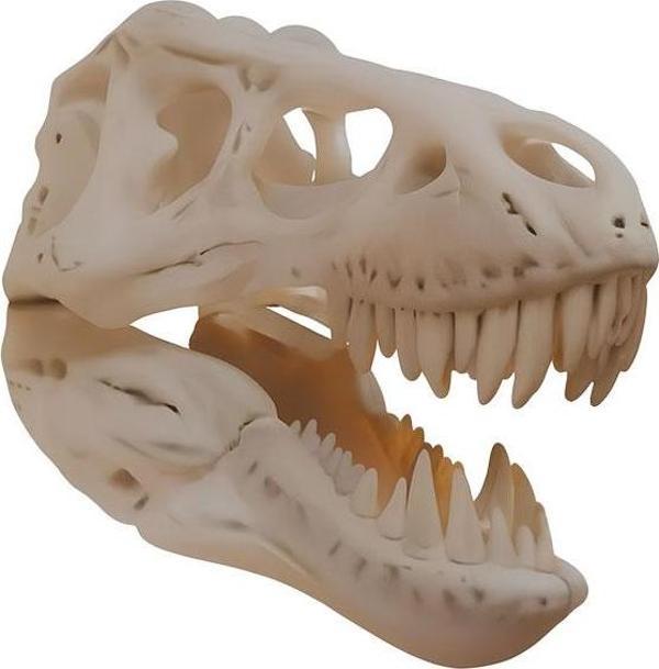 T-Rex Kafası Duvar Dekoru - Image 1