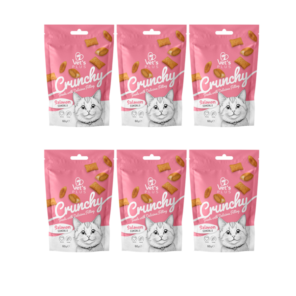 Vet's Plus Crunchy Somonlu ve Catnipli Kedi Ödül Maması 60gr (6 Adet) - Image 1