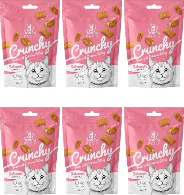Vet's Plus Crunchy Somonlu ve Catnipli Kedi Ödül Maması 60gr (6 Adet) - Image 1