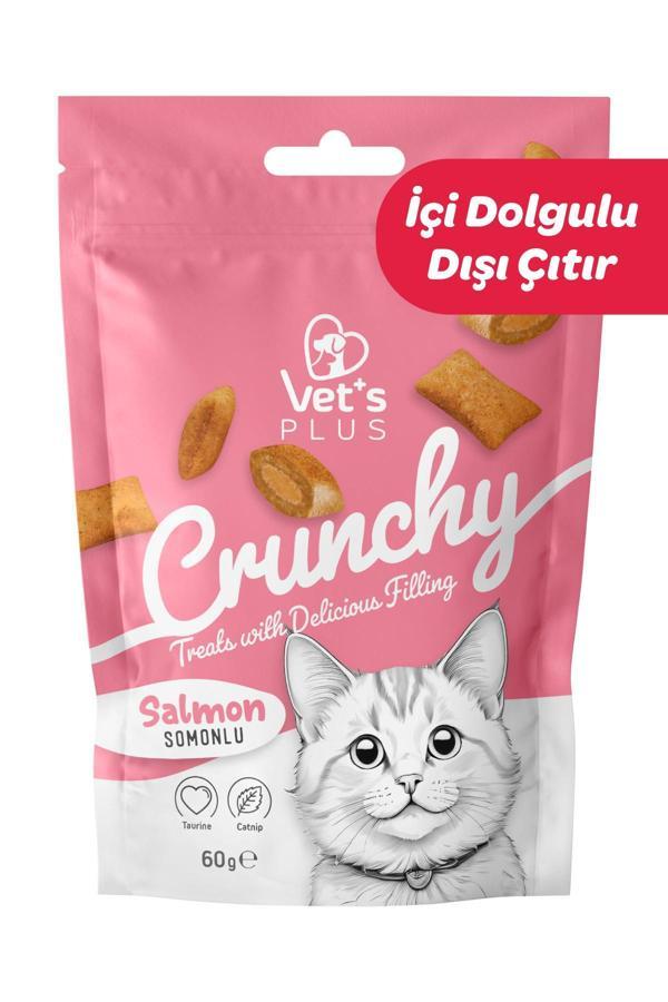 Vet's Plus Crunchy Somonlu ve Catnipli Kedi Ödül Maması 60gr - Image 1