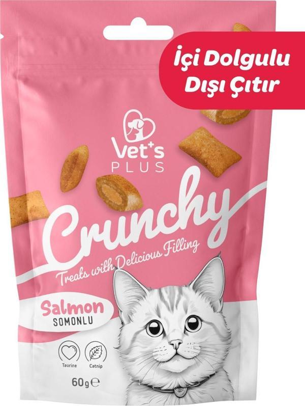 Vet's Plus Crunchy Somonlu ve Catnipli Kedi Ödül Maması 60gr - Image 1