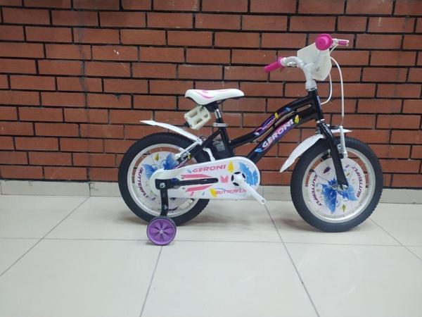 Geroni Kron Kız Çocuk Bisikleti - Image 1