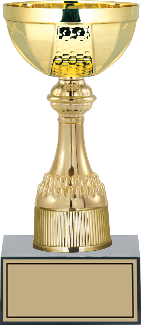 ODAK KUPA - Medium Kupalar - M-043 C - 23 cm - Image 1