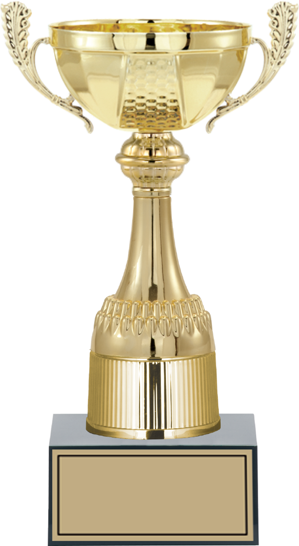 ODAK KUPA - Medium Kupalar - M-039 B - 27 cm - Image 1