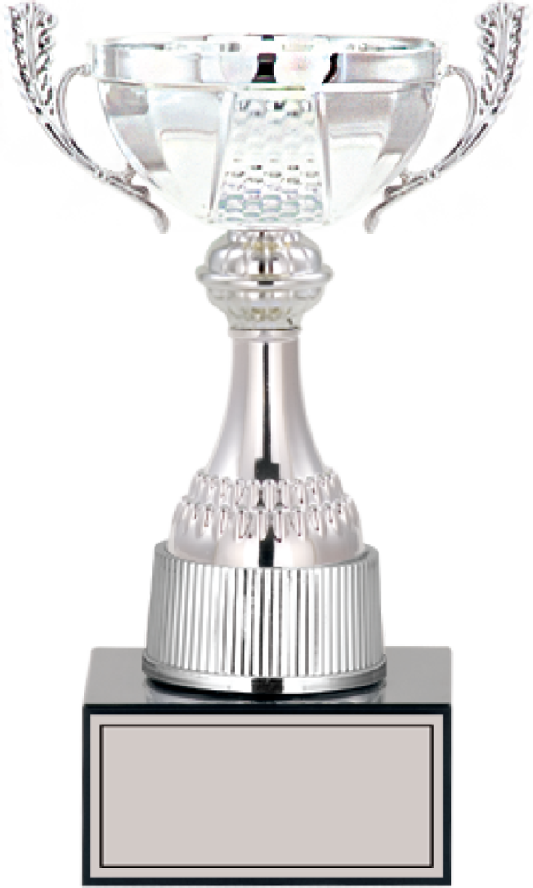ODAK KUPA - Medium Kupalar - M-041 C - 24 cm - Image 1