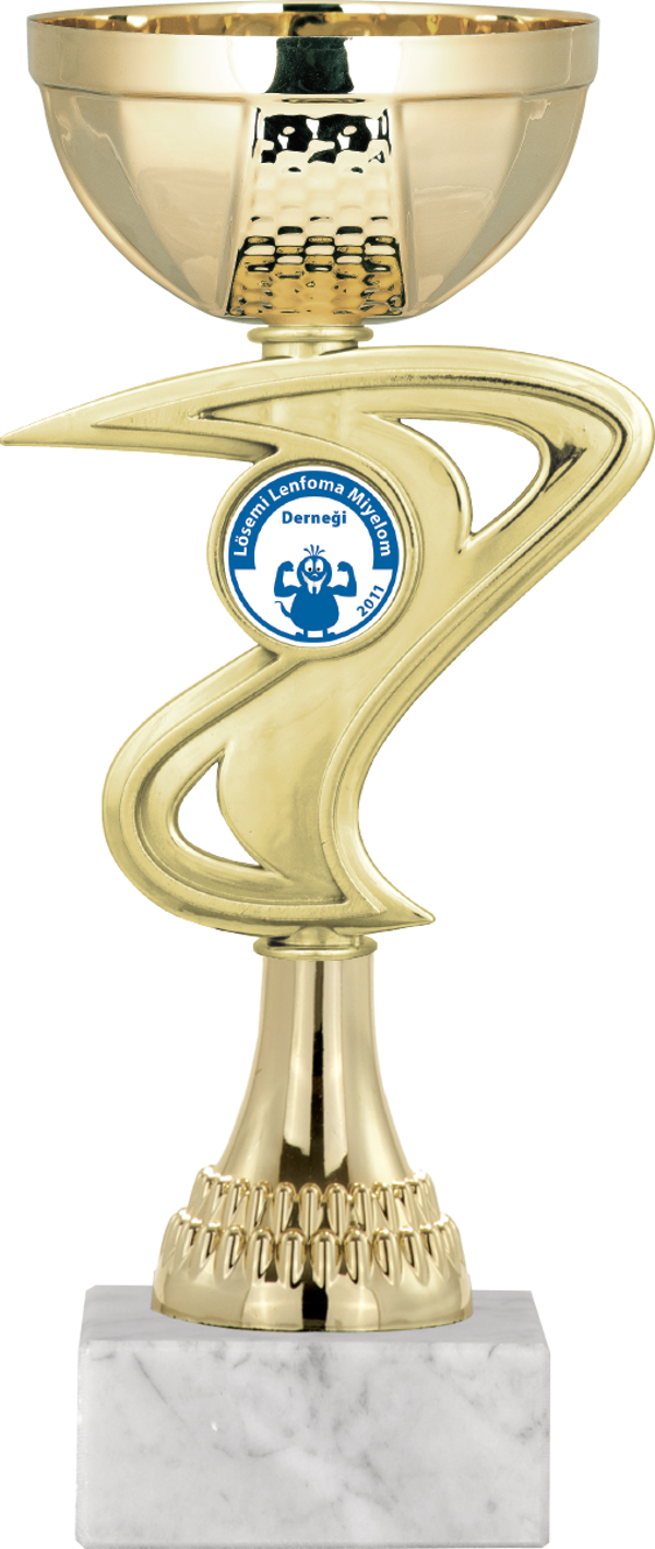 ODAK KUPA - Economy Kupalar - ECO-017 B - 21 cm - Image 1