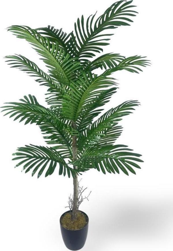 Yapay Ağaç Palmiye 16Yaprak Areka Ağacı Siyah Saksıda Tek Gövdeli 150*70Cm - Image 1