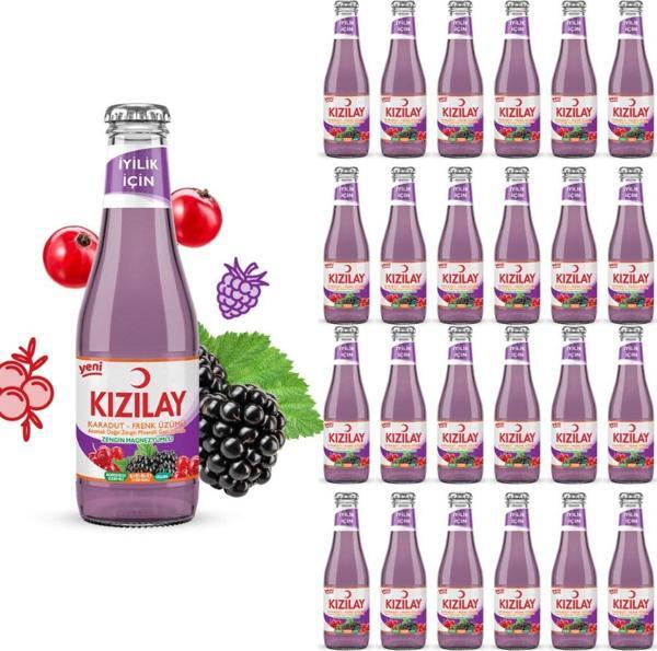 KIZILAY MADEN SUYU DOĞAL KARADUT FRENK ÜZÜMÜ AROMALI 200 ML X 24 ADET - Image 1