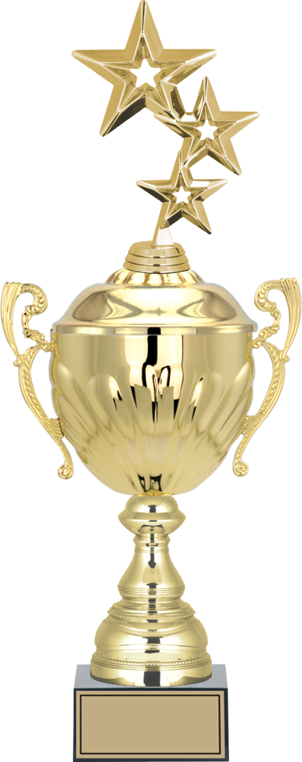ODAK KUPA - Figürlü Kupalar - Yıldız Figürlü Kupalar FG-089 B - 49 cm - Image 1